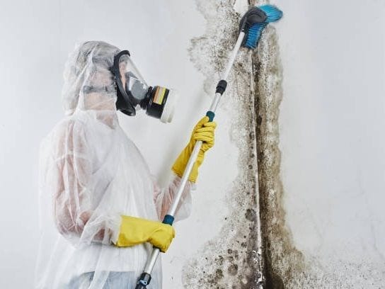 A technician in a full protective suit and respirator scrubbing mould off a wall with a long-handled brush